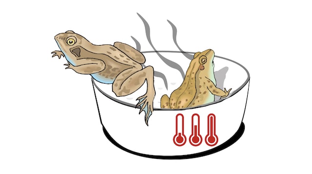 Boiling-frog-Welcher-Frosch-bist-du